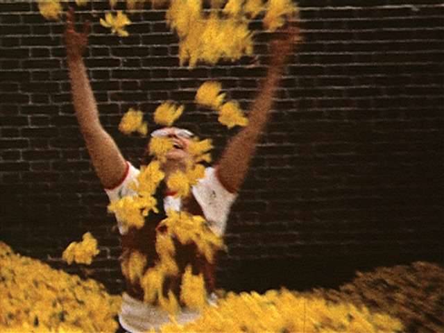 Yellow Hammer