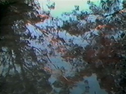 Wigry, Poland/Blue Mountains, Australia