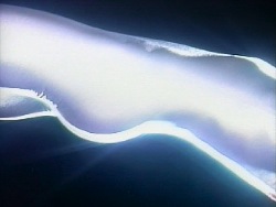 In the blink of an eye...(amphibian dreams)..."If I could fly I would fly"