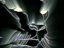 Fitzgerald and Sanborn: Music Videos